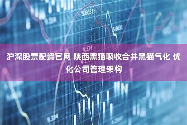 沪深股票配资官网 陕西黑猫吸收合并黑猫气化 优化公司管理架构